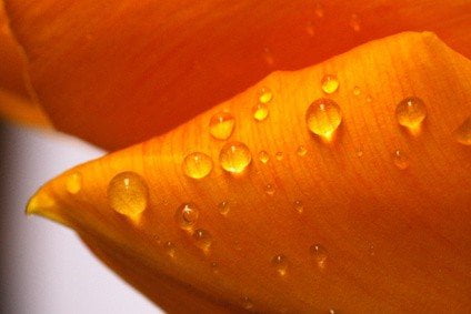 Raffinata superficie