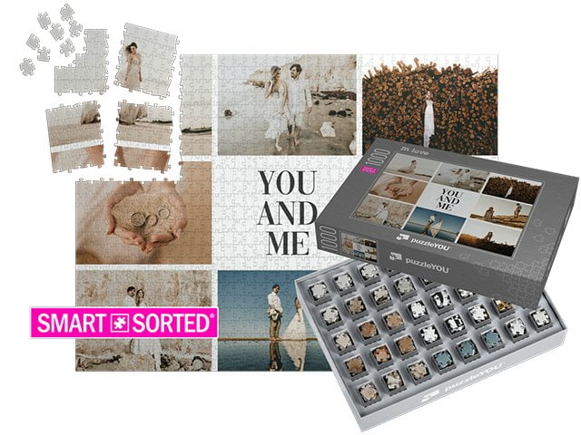 Scatola delfino grigio