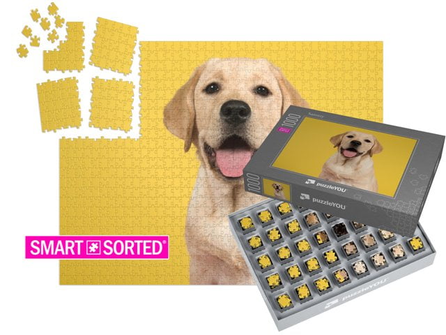 L'alternativa intelligente!