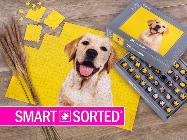 Ora nuovo ed esclusivo su puzzleYOU: SMART SORTED®